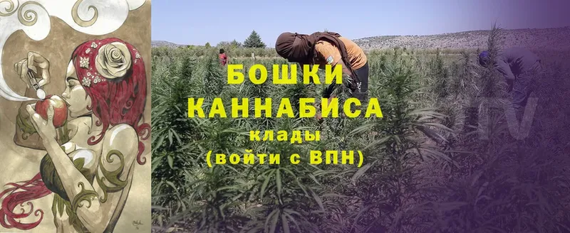 Каннабис OG Kush  даркнет сайт  Данков 